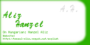 aliz hanzel business card